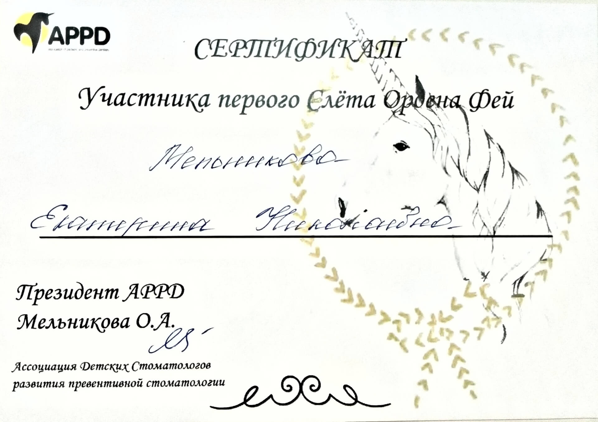 Куликова В. С. — сертификат №3